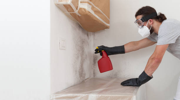 Professional Attic Mold Remediation technician working in Blain, PA