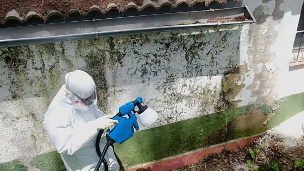 Top rated local Attic Mold Remediation specialists in Blain, PA